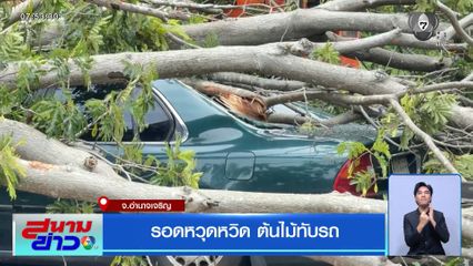 รอดหวุดหวิด ต้นไม้ทับรถ จ.อำนาจเจริญ