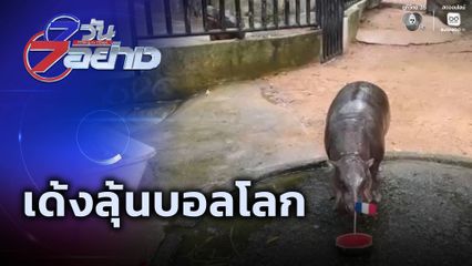 7 วัน 7 อย่าง : เด้งลุ้นบอลโลก