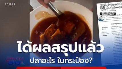 สรุปว่าปลาอะไรอยู่ในกระป๋อง ?
