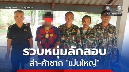 เขตห้ามล่าสัตว์ป่าอุทยานสมเด็จพระศรีนครินทร์ สนธิกำลังรวบหนุ่มลักลอบล่า-ค้าซาก "เม่นใหญ่" สัตว์ป่าคุ้มครอง คาบ้านพัก