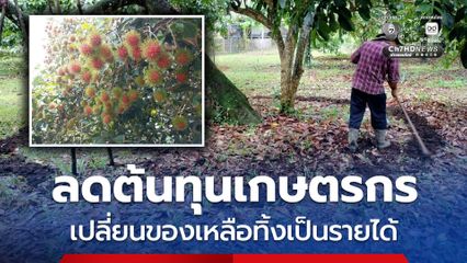 เกษตรกรนำวัสดุเหลือใช้ทางการเกษตรที่หาง่ายมาผลิตปุ๋ย ลดต้นทุนได้ดี ลดพึ่งพาปุ๋ยเคมี