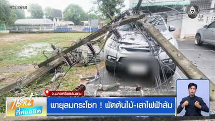 ฝนฟ้าอากาศเช้านี้ 17 ก.ค.69 | พายุลมกระโชก ! พัดต้นไม้-เสาไฟฟ้าล้ม