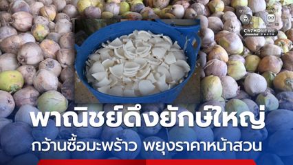 พาณิชย์เดินหน้าดึงผู้ประกอบการรายใหญ่เข้าซื้อเพิ่ม มะพร้าวแกง–เนื้อมะพร้าว ดูดซับผลผลิต พยุงราคาหน้าสวน