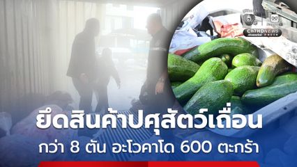 ตรวจยึดสินค้าปศุสัตว์เถื่อนกว่า 8 ตัน และอะโวคาโด 600 ตะกร้า ส่งดำเนินคดี ยุติวงจรลักลอบนำเข้าสินค้าเถื่อน