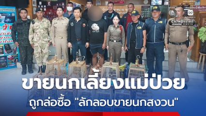 หนุ่มปล่อยโฮ ขายนกเลี้ยงแม่ป่วย สุดท้ายถูกล่อซื้อ “ลักลอบขายนกสงวน” โทษจำคุก 15 ปี ลั่น ไม่รู้กฎหมายเพราะอ่านหนังสือไม่ออก