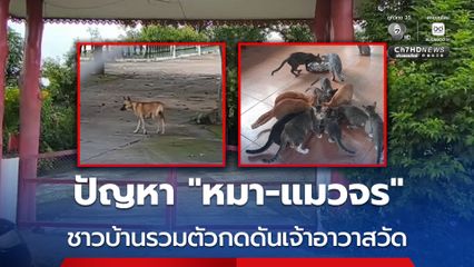 ดรามา ! หมา-แมวจร 20 กว่าชีวิต ชาวบ้านรวมตัวกดดันเจ้าอาวาส