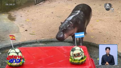 หมูเด้ง ทายผลฟุตบอลโลก