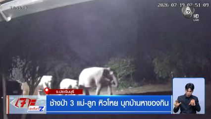 ช้างป่า 3 แม่-ลูก หิวโหย บุกบ้านหาของกิน