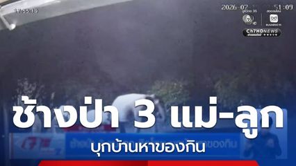 ช้างป่า 3 แม่-ลูก หิวโหย บุกบ้านหาของกิน