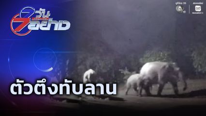 7 วัน 7 อย่าง : ตัวตึงทับลาน