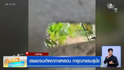 ชายอายุ 40 ปี เสพยาจนเกิดอาการหลอน ทารุณกรรมสุนัข
