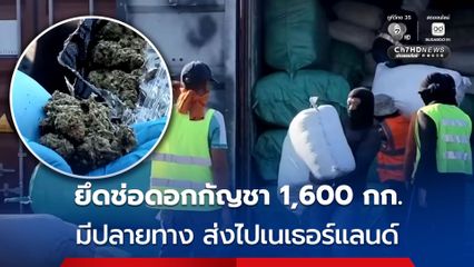 ศุลกากรแหลมฉบัง ยึดช่อดอกกัญชา 1,600 กก. มีปลายทางไปยัง ประเทศเนเธอร์แลนด์