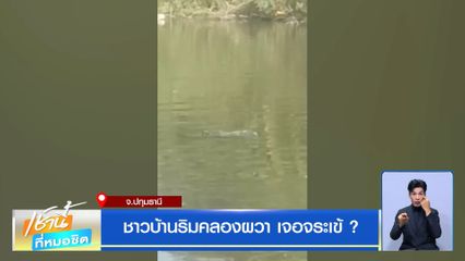 ชาวบ้านริมคลองย่านลำลูกกา ผวา เจอจระเข้ ?