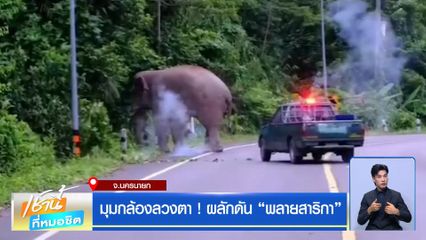 มุมกล้องลวงตา ! ผลักดัน "พลายสาริกา"