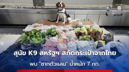 สุนัข K9 สหรัฐฯ สกัดกระเป๋าจากไทย ขนเนื้อสัตว์, มะม่วง, หมูยอ, หน่อไม้ และซากตะกวด น้ำหนักหลายกิโลกรัม