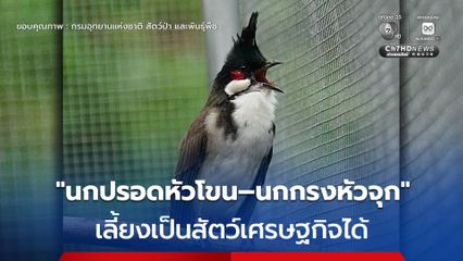 ครม.ปลดล็อก “นกปรอดหัวโขน–นกกรงหัวจุก” ส่งเสริมให้เลี้ยงเป็นสัตว์เศรษฐกิจได้