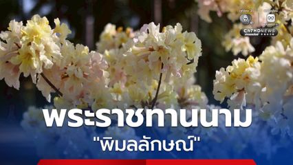 ในหลวง ทรงพระกรุณาโปรดเกล้า ฯ พระราชทานนามพรรณไม้ใหม่ พิมลลักษณ์ เฉลิมพระเกียรติ พระบรมราชินี