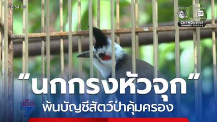 ถอด “นกกรงหัวจุก” พ้นบัญชีสัตว์ป่าคุ้มครอง