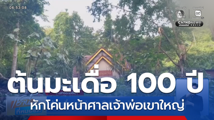 ต้นมะเดื่ออายุกว่า 100 ปี หักโค่นหน้าศาลเจ้าพ่อเขาใหญ่
