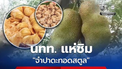 "จำปาดะสตูล" ราชินีผลไม้ GI สร้างชื่อเสียง นักท่องเที่ยวทั้งชาวไทย และมาเลเซีย แห่ชิมจำปาดะทอด