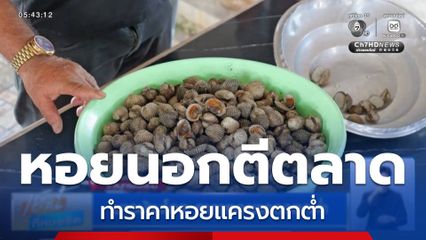 ชาวบ้านโอด ราคาหอยแครงตกต่ำ
