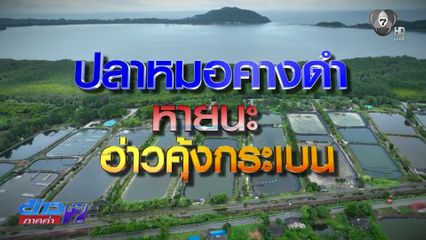 Exclusive ! หายนะ อ่าวคุ้งกระเบน ตอน 1