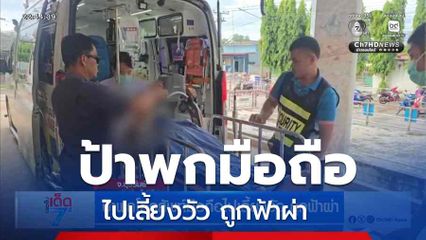 ป้าพกโทรศัพท์มือถือไปเลี้ยงวัว ถูกฟ้าผ่า
