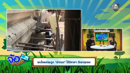 พบโครงกระดูก ย่าทวด ใต้วิหารฯ วัดธาตุทอง