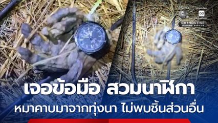 พบชิ้นส่วนข้อมือของมนุษย์ ที่ยังสวมนาฬิกา แต่ยังไม่พบชิ้นส่วนอื่น ๆ 