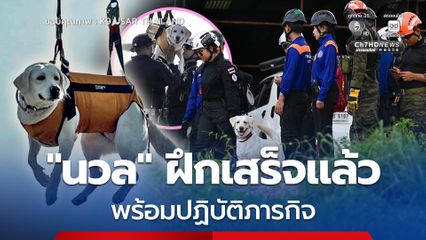 นวล สุนัข K9 USARThailand ฝึกเสร็จแล้ว พร้อมปฏิบัติภารกิจ