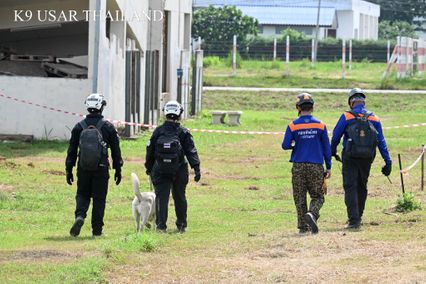 นวล สุนัข K9 USARThailand ฝึกเสร็จแล้ว พร้อมปฏิบัติภารกิจ
