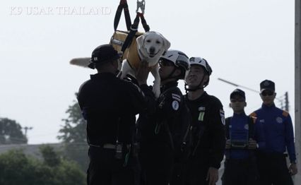นวล สุนัข K9 USARThailand ฝึกเสร็จแล้ว พร้อมปฏิบัติภารกิจ