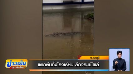 แตกตื่นทั้งโรงเรียน ลือจระเข้โผล่