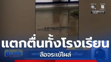 แตกตื่นทั้งโรงเรียน ลือจระเข้โผล่