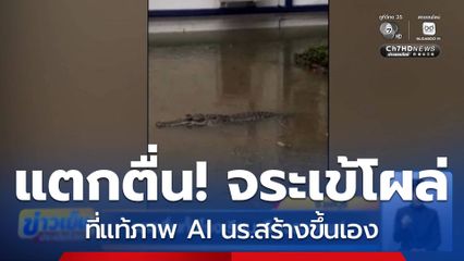 แตกตื่นทั้งโรงเรียน ลือจระเข้โผล่