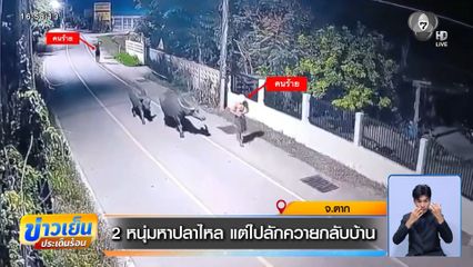 2 หนุ่มหาปลาไหล แต่ไปลักควายกลับบ้าน