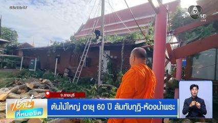 ฝนฟ้าอากาศเช้านี้ 24 ก.ค.69 | ต้นไม้ใหญ่ อายุ 60 ปี ล้มทับกุฏิ-ห้องน้ำพระ จ.ราชบุรี