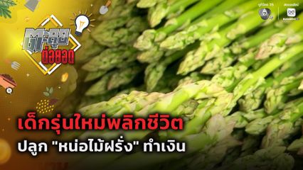 ตะลุยต่อยอด : เด็กรุ่นใหม่พลิกชีวิต ปลูก หน่อไม้ฝรั่ง ทำเงิน