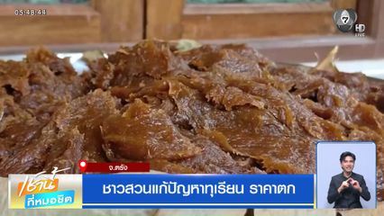 ชาวสวนแก้ปัญหาทุเรียน ราคาตก จ.ตรัง