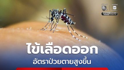 เฝ้าระวังโรคไข้เลือดออก อัตราป่วยตายเพิ่มสูงขึ้น