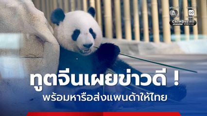 ทูตจีนเผยข่าวดี ! พร้อมหารือส่งแพนด้าให้ไทยอีกคร้ัง