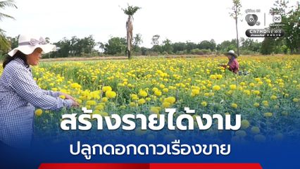 เกษตรกรเปลี่ยนที่นา ปลูกดอกดาวเรืองขาย เป็นพืชใช้น้ำน้อย อายุเก็บเกี่ยวสั้น สร้างรายได้งาม โกยรายได้ปีละหลายแสนบาท