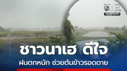 ชาวนา อ.บำเหน็จณรงค์ จ.ชัยภูมิ ร้องเฮ ดีใจ ฝนตกหนักนานนับชั่วโมง ช่วยต้นข้าวให้รอดตาย หลังเผชิญภัยแล้ง จากฝนทิ้งช่วงมานานเกือบ 1 เดือน