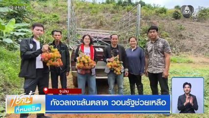 กังวลเงาะล้นตลาด วอนรัฐช่วยเหลือ จ.น่าน