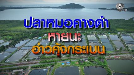 หายนะ ! อ่าวคุ้งกระเบน ปลาหมอคางดำ