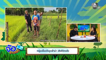 หญิงเลี้ยงวัวถูกฟ้าผ่า เสียชีวิตแล้ว