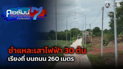 คอลัมน์หมายเลข 7 : ชำแหละเสาไฟฟ้า 30 ต้น เรียงถี่ บนถนน 260 เมตร