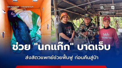 เจ้าหน้าที่ สบอ.3 เพชรบุรี เข้าช่วยเหลือ "นกแก๊ก" ได้รับบาดเจ็บ ส่งให้สัตวแพทย์ฟื้นฟูสภาพร่างกายอย่างใกล้ชิด ก่อนเตรียมปล่อยคืนสู่ป่า