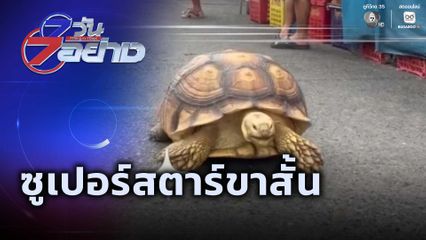 7 วัน 7 อย่าง : ซูเปอร์สตาร์ขาสั้น
