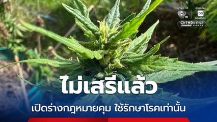 เปิดร่าง พ.ร.บ.ควบคุมกัญชา ใช้รักษาโรคเท่านั้น ฝ่าฝืนมีโทษชัดเจน